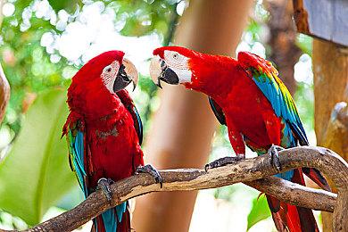 《符文工房 龙之天地》发售预告片发布 即将上线！